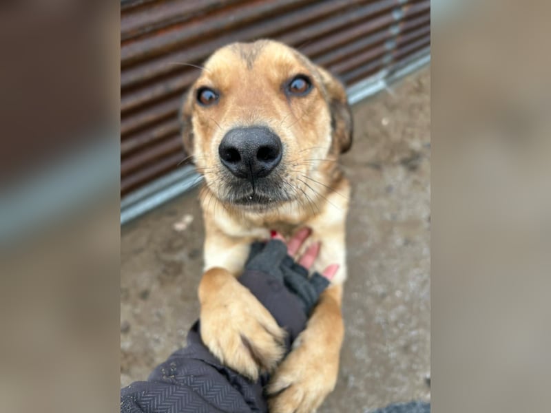 Nimer möchte endlich ankommen