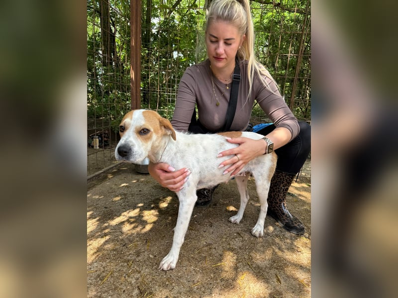 Leila sucht Familie