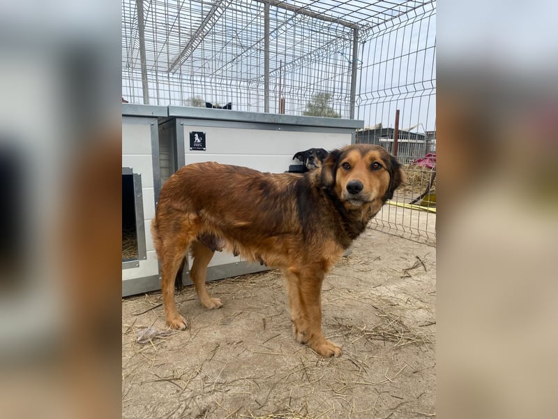 Fiona möchte nicht länger warten