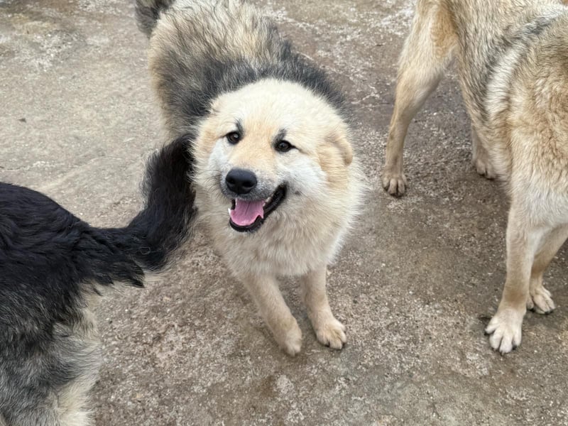 Hübsche Frieda sucht ihr Zuhause