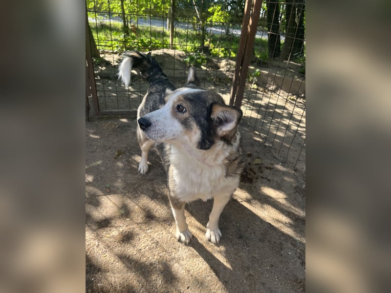 Lia - will dein Herz gewinnen!