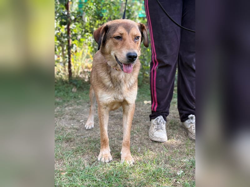 Nimer möchte endlich ankommen