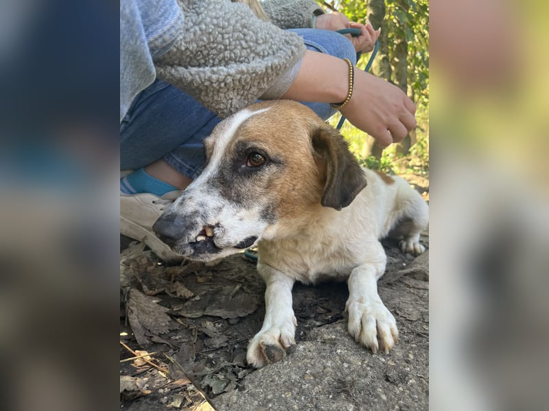 Bounty sucht ein zu Hause
