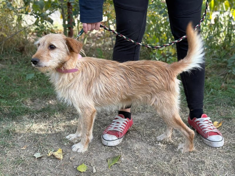 Norman möchte seinen ersten warmen Winter erleben