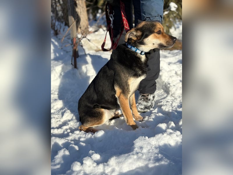 Alek möchte endlich ankommen