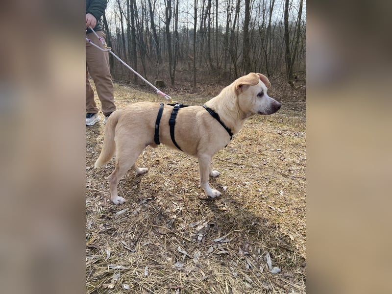 Pepe wartet in Augsburg