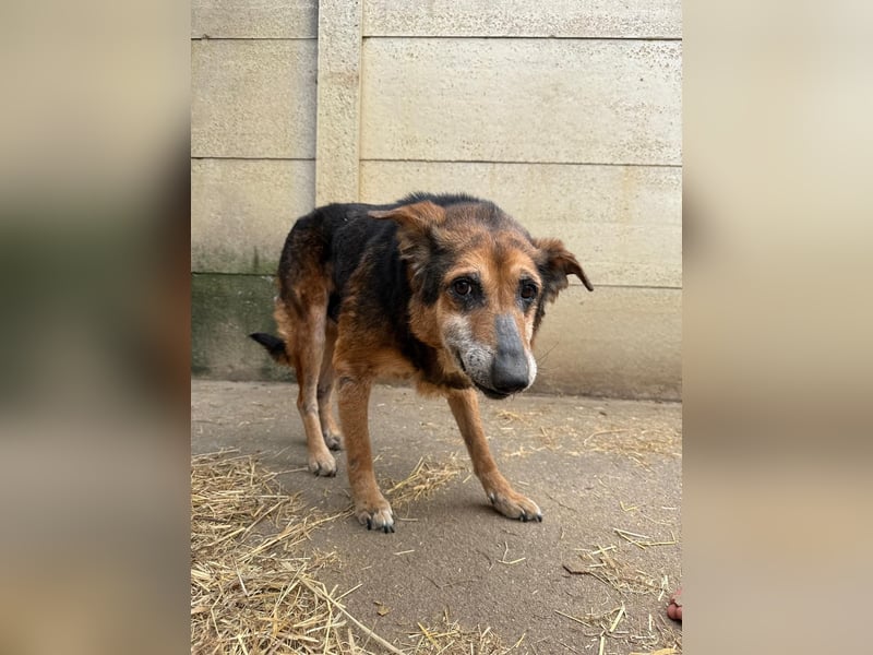 Gáspár möchte endlich ankommen