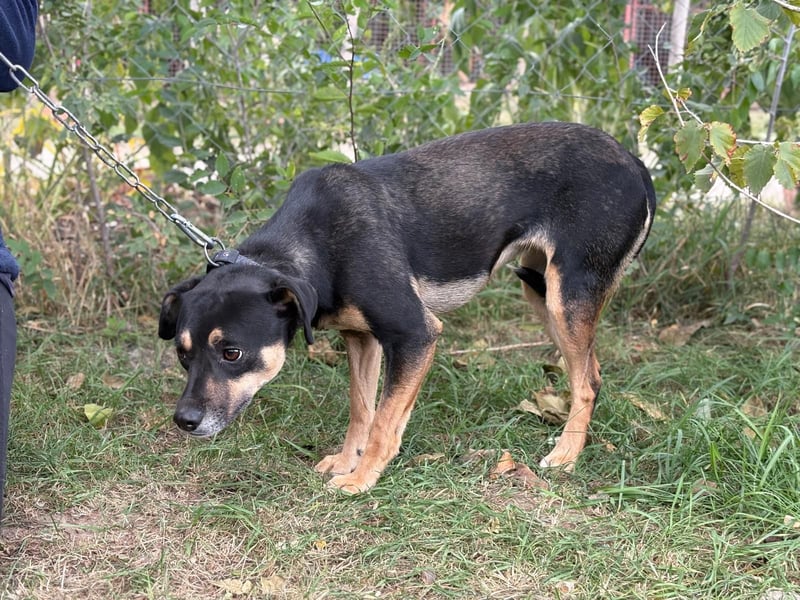 Malna - Möchte Teil deiner Familie werden!