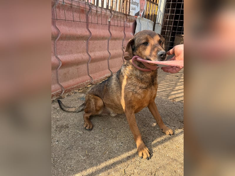 Férko möchte zeigen, was in ihm steckt