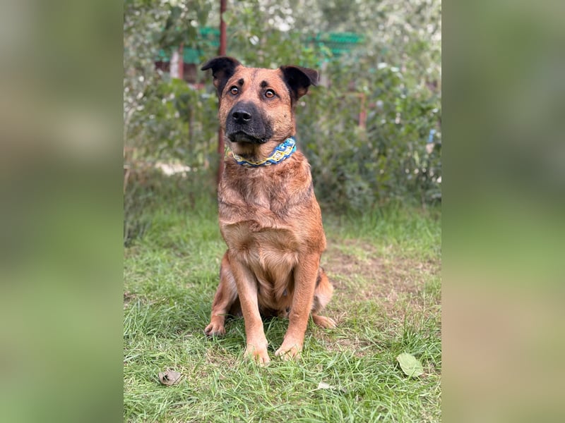 Mery- verbringen wir den nächsten Sommer gemeinsam ?