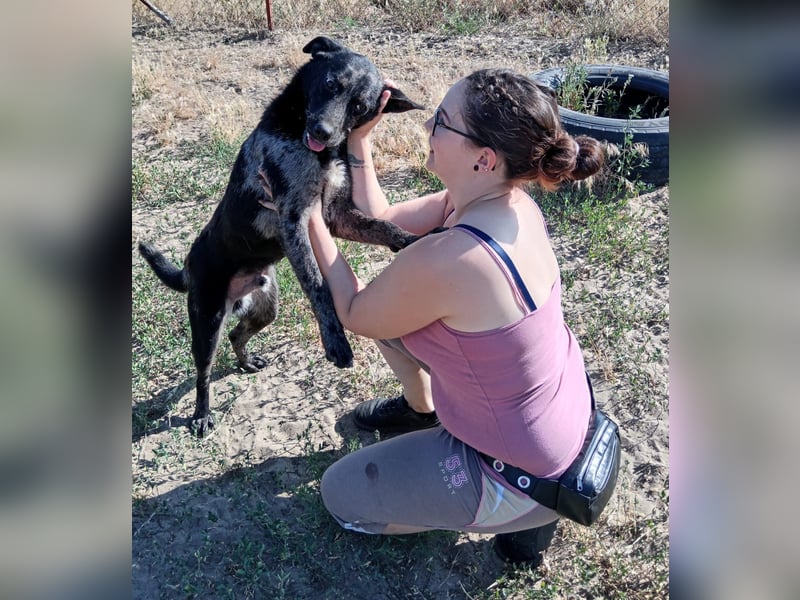 Zecco sucht einen warmen Platz