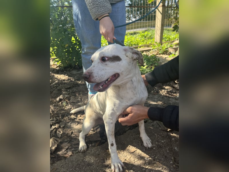 Ildike - hast du noch Platz im Herzen?