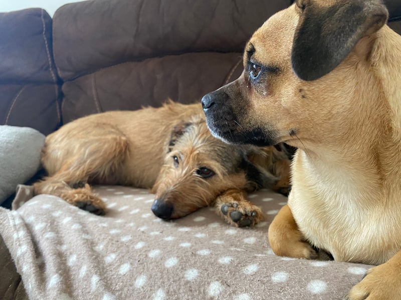 HAPPY ❤️ Name = Programm, Pflegefamilie Köln