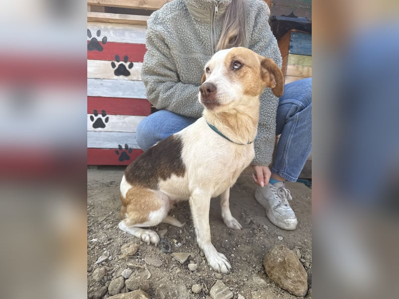 Picúr sucht ein Herz, das sie liebt