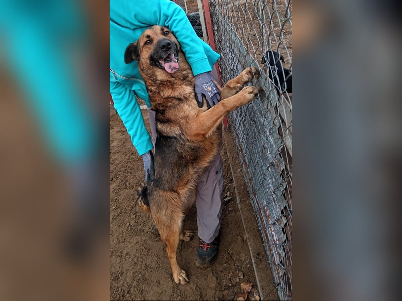 Mery wartet jeden Tag auf ihr Glück