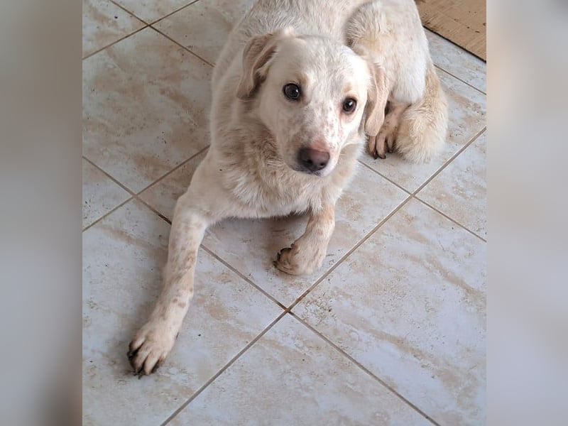 Ralf wartet seit 4 J. auf seine Ausreise aus Rumänien