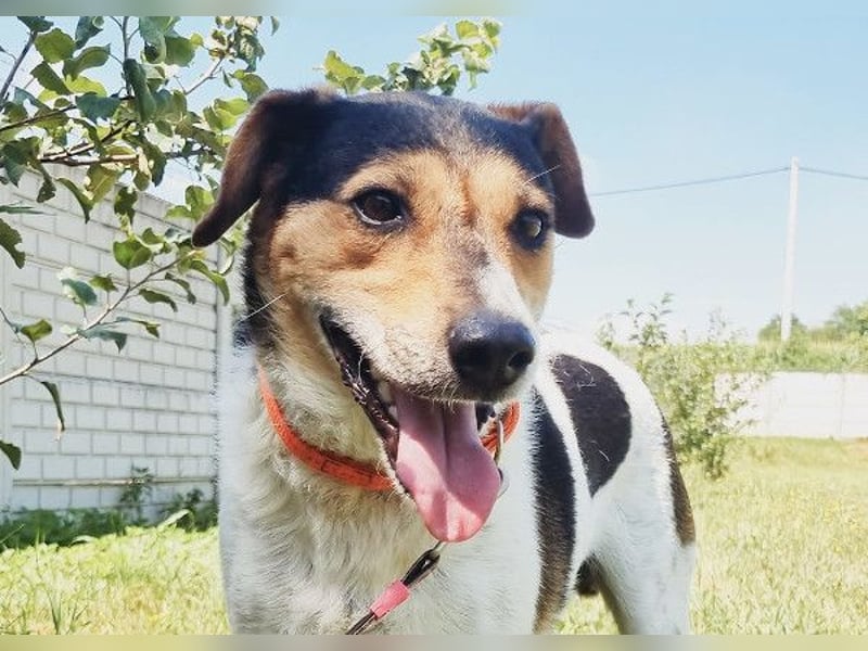 Pepper - wann bekommt er seine Chance?