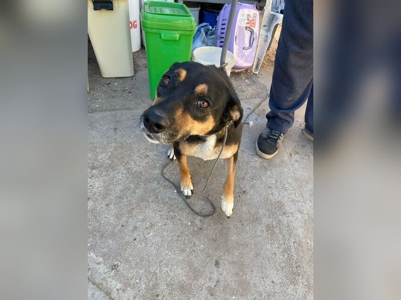 Hugi möchte geliebt werden