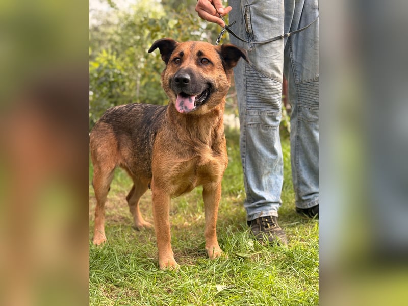 Mery- verbringen wir den nächsten Sommer gemeinsam ?