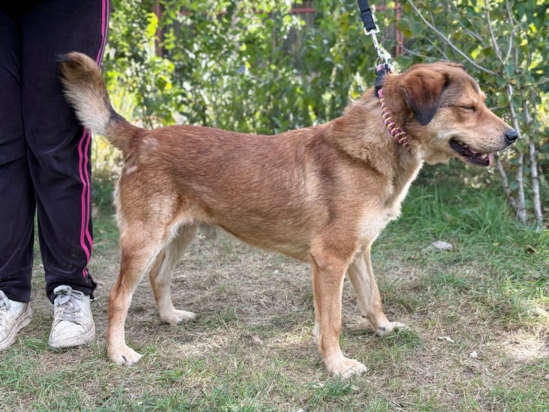 Nimer will endlich zuhause ankommen