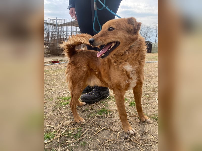 Kajla wartet auf ihr Happy End
