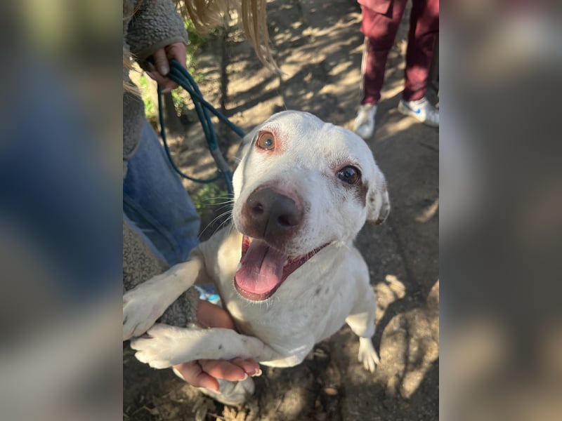 Ildike - hast du noch Platz im Herzen?