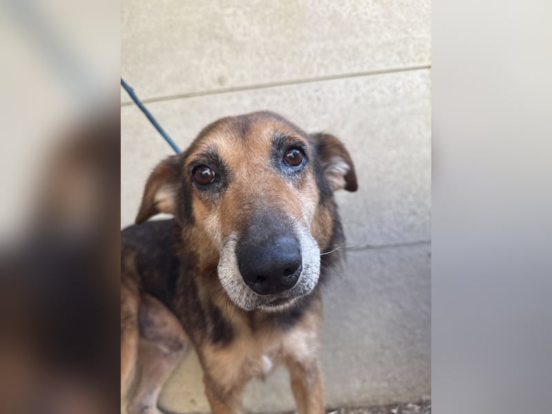 Gáspár möchte endlich ankommen