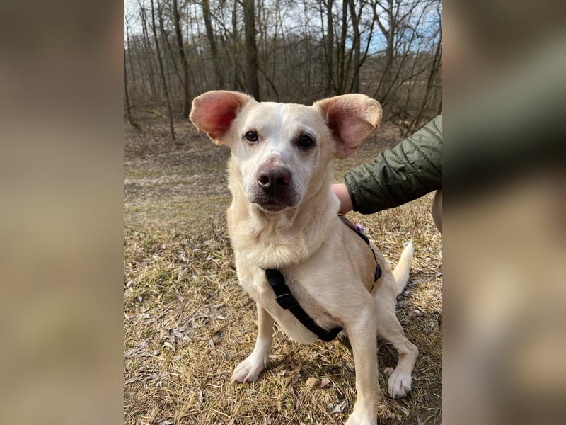 Pepe wartet in Augsburg