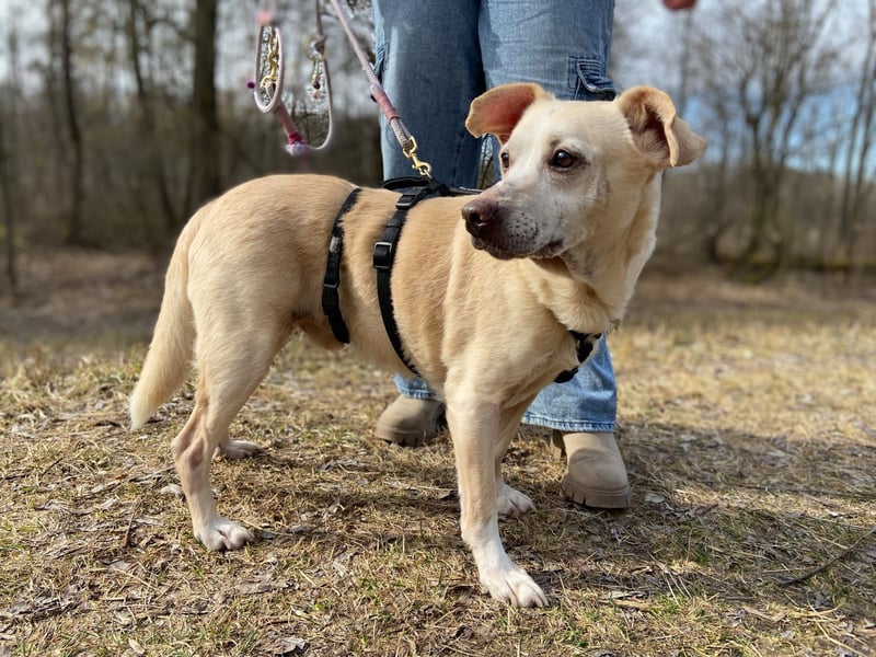 Pepe wartet in Augsburg