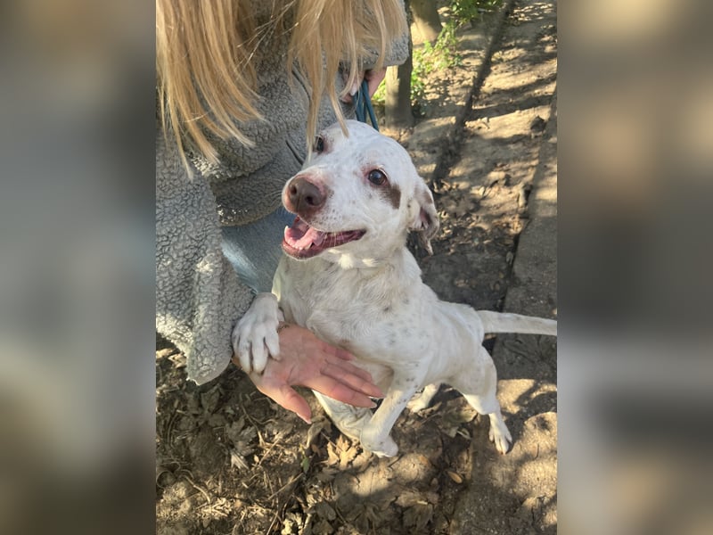 Ildike - hast du noch Platz im Herzen?