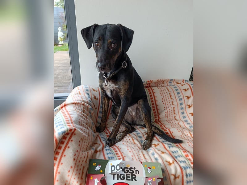 Aktive Pina wartet in 52385 Nideggen auf ihr Happy End!