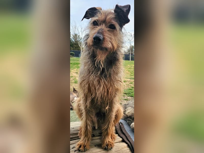 HAPPY ❤️ Name = Programm, Pflegefamilie Köln