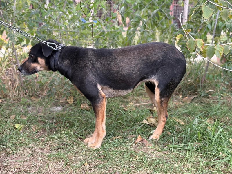 Malna - Möchte Teil deiner Familie werden!
