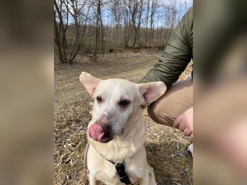 Pepe wartet in Augsburg