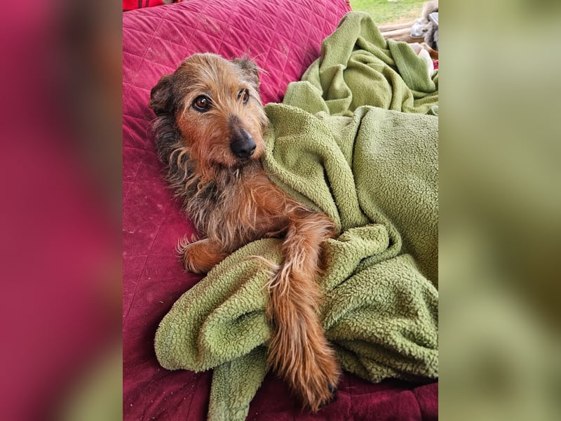 HAPPY ❤️ Name = Programm, Pflegefamilie Köln