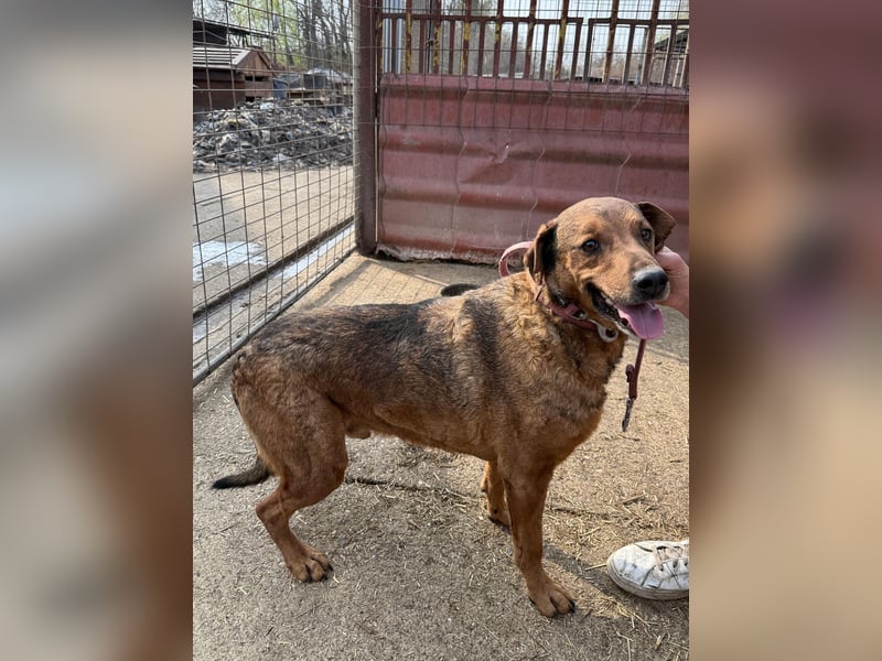 Férko möchte zeigen, was in ihm steckt