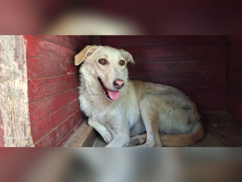 Die zauberhafte Elly sucht ihre Menschen