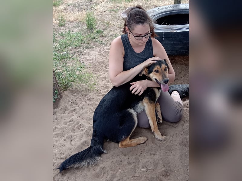 Kerubin - will seine Liebe weitergeben!