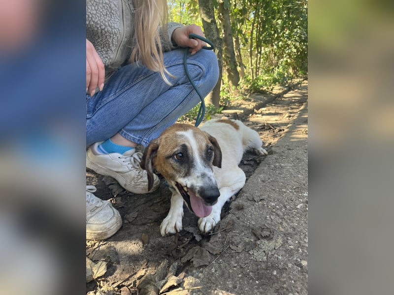 Bounty sucht ein zu Hause