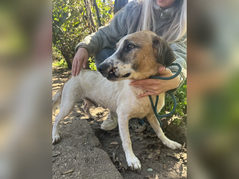 Bounty sucht ein zu Hause