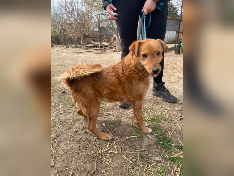 Kajla wartet auf ihr Happy End