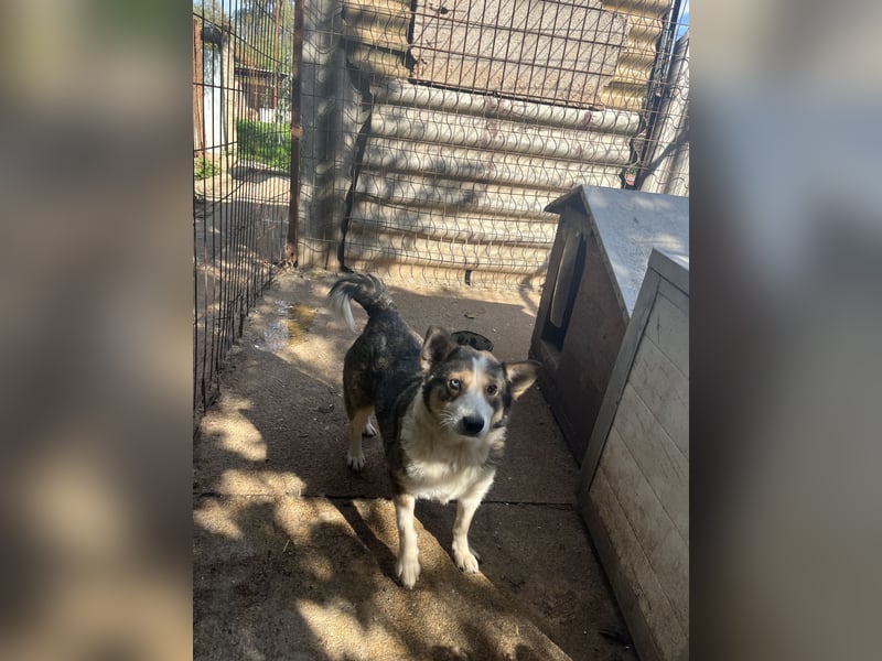 Lia - will dein Herz gewinnen!