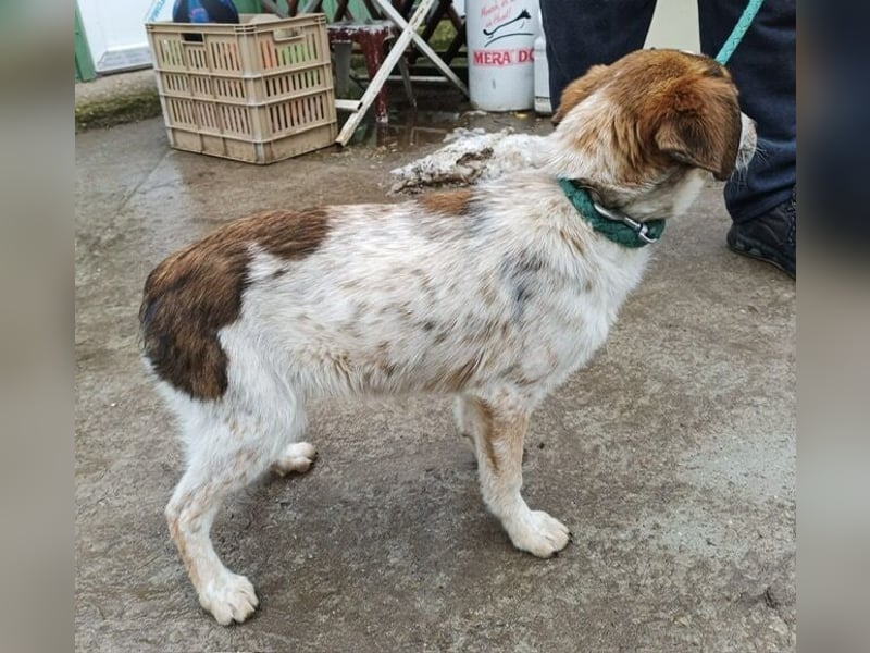 Eliot sucht seine Herzensmenschen