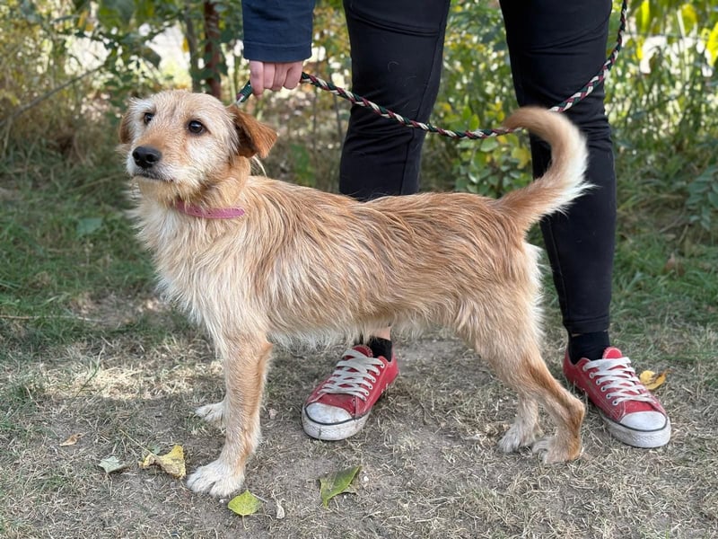 Norman möchte seinen ersten warmen Winter erleben