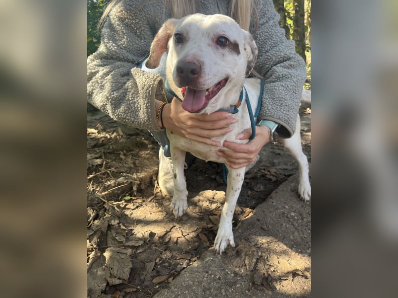 Ildike - hast du noch Platz im Herzen?