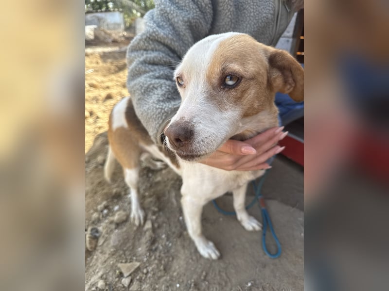 Picúr sucht ein Herz, das sie liebt