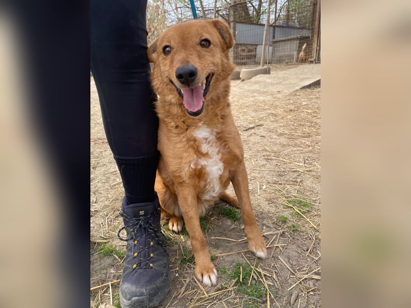 Kajla wartet auf ihr Happy End