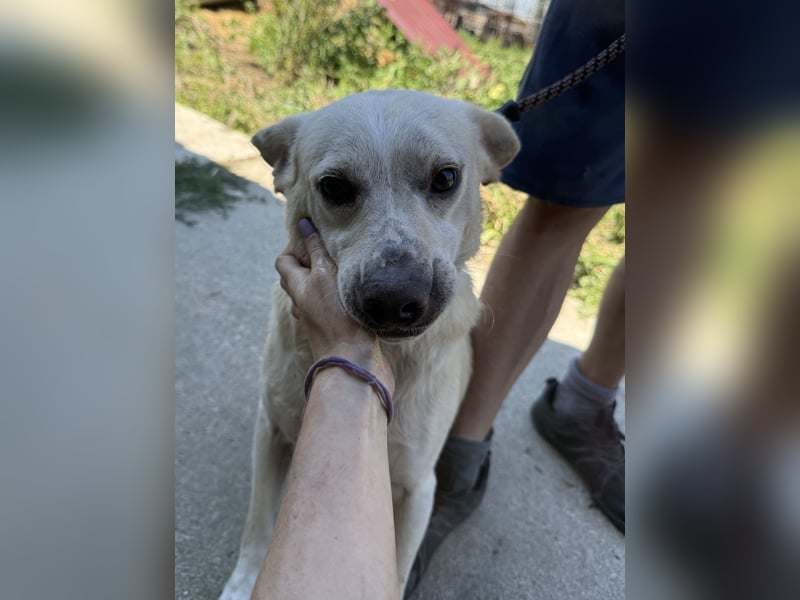 Pepe wartet in Augsburg