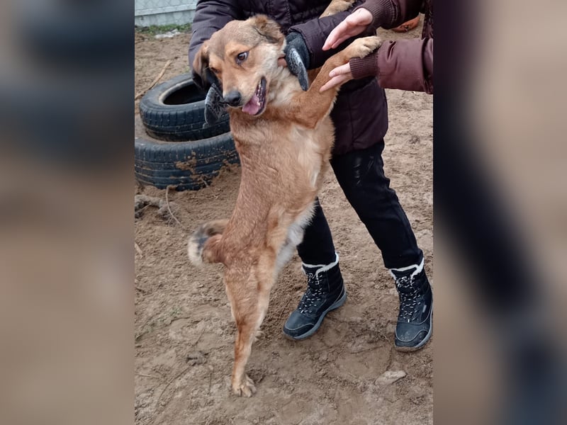 Nimer möchte endlich ankommen