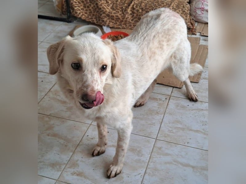 Ralf wartet seit 4 J. auf seine Ausreise aus Rumänien